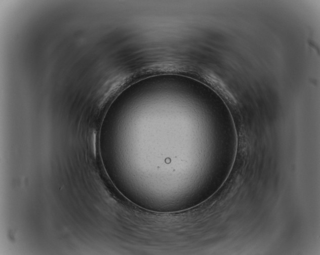 X0000091860014200709121338