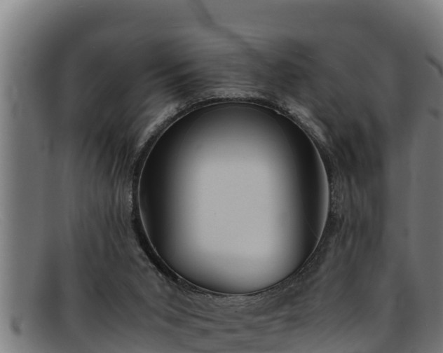 X0000091860015200709121338