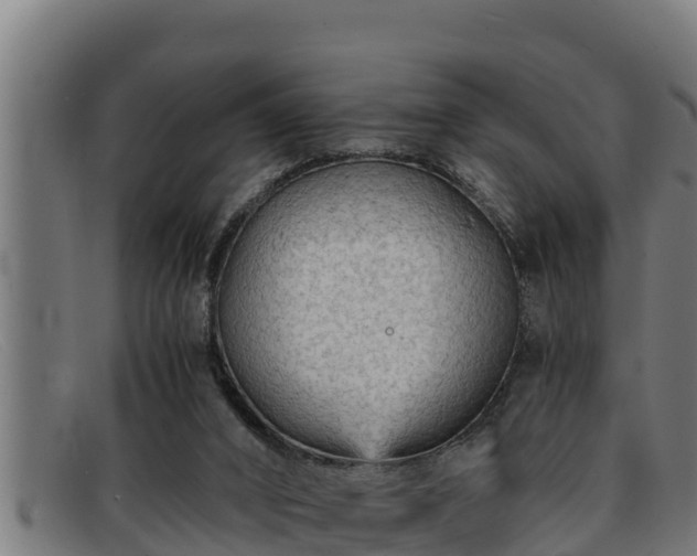 X0000091860016200709121338