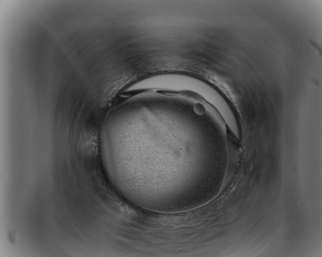 X0000091860017200709121338