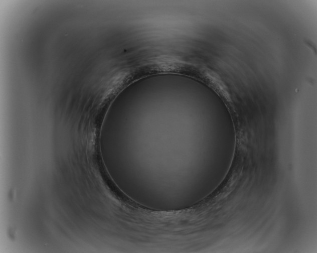 X0000091860018200709121338