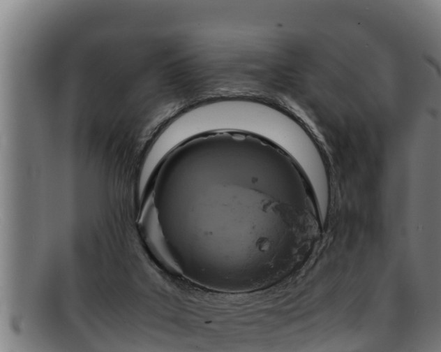 X0000091860019200709121338