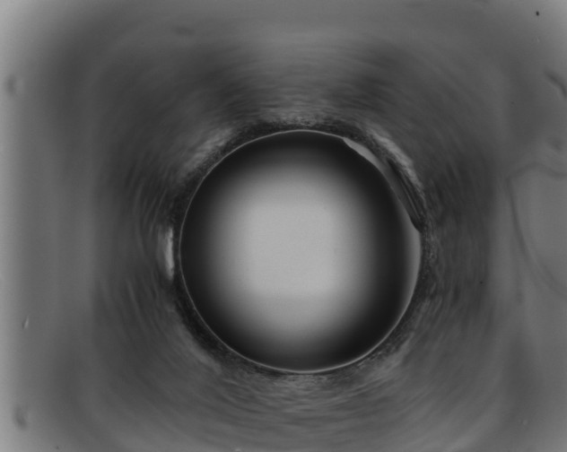 X0000091860020200709121338