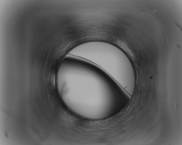 X0000091860021200709121338