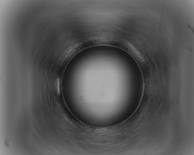 X0000091860022200709121338