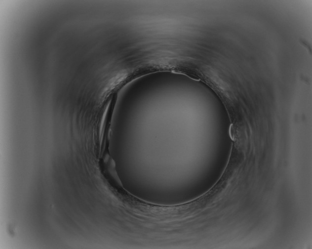 X0000091860023200709121338