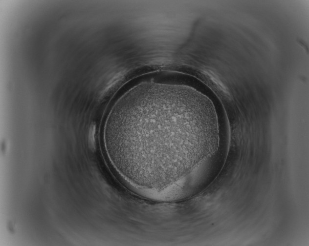 X0000091860024200709121338