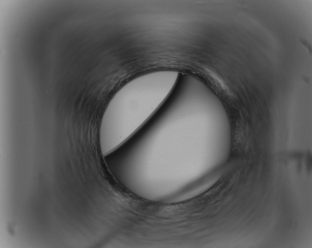 X0000091860025200709121338