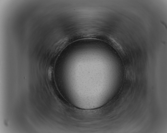 X0000091860026200709121338