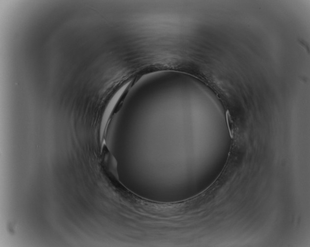 X0000091860027200709121338