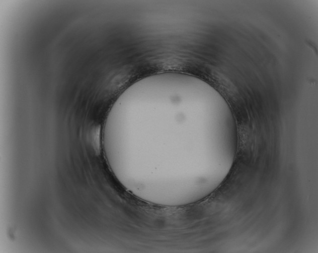 X0000091860028200709121338