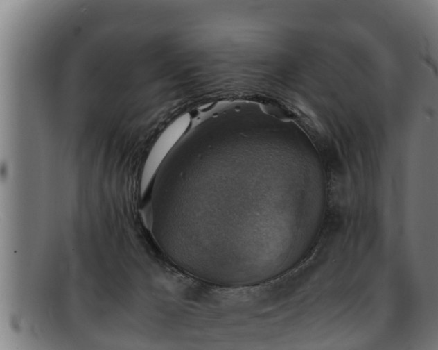 X0000091860029200709121338