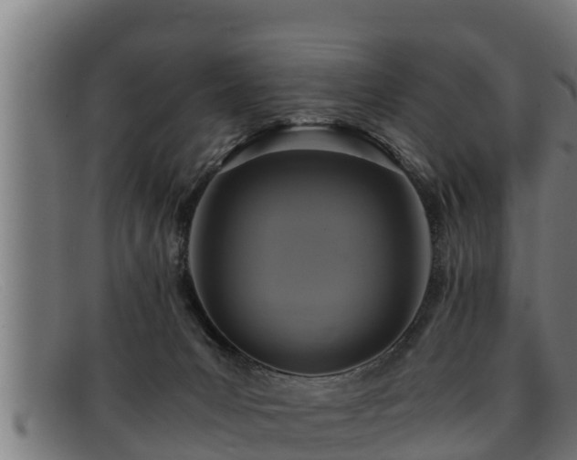 X0000091860031200709121338