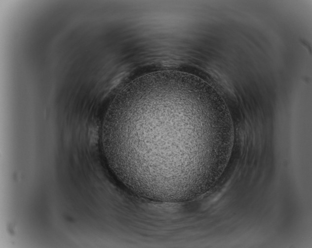 X0000091860032200709121338