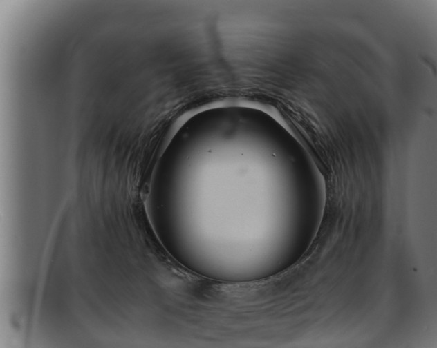 X0000091860033200709121338