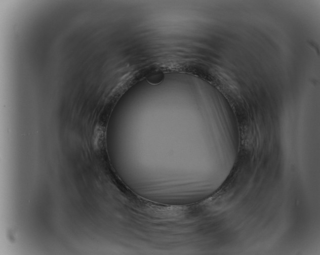 X0000091860036200709121338