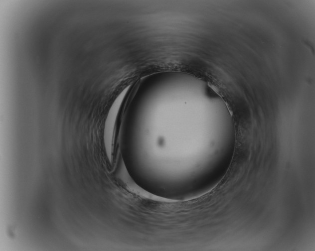 X0000091860037200709121338