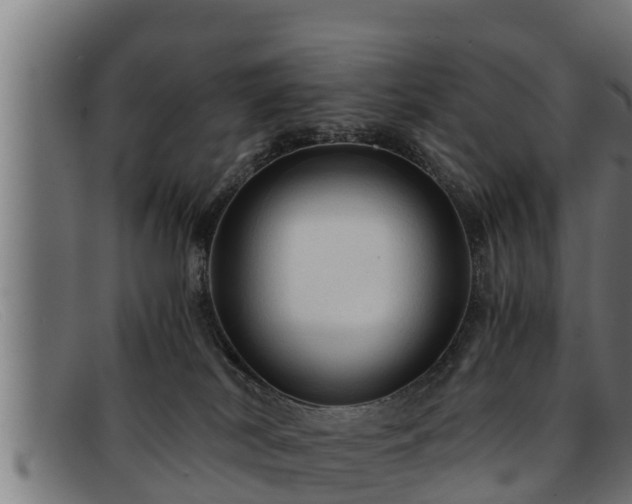 X0000091860038200709121338