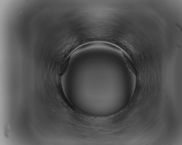 X0000091860039200709121338