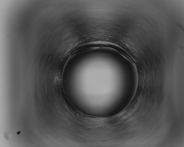 X0000091860040200709121338