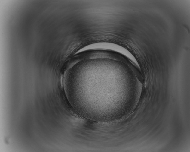 X0000091860041200709121338