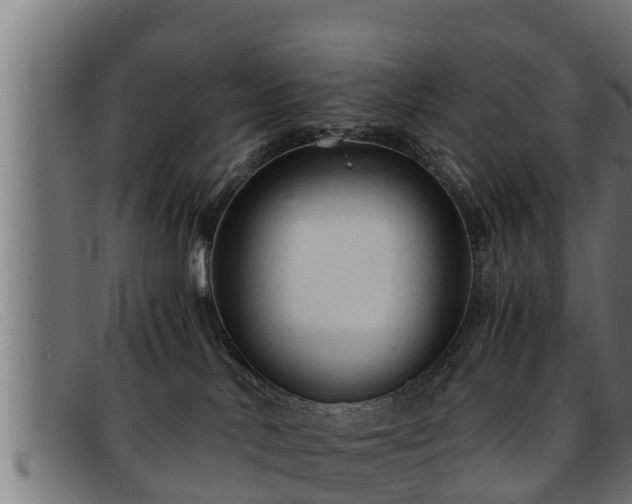 X0000091860042200709121338