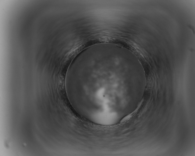 X0000091860043200709121338