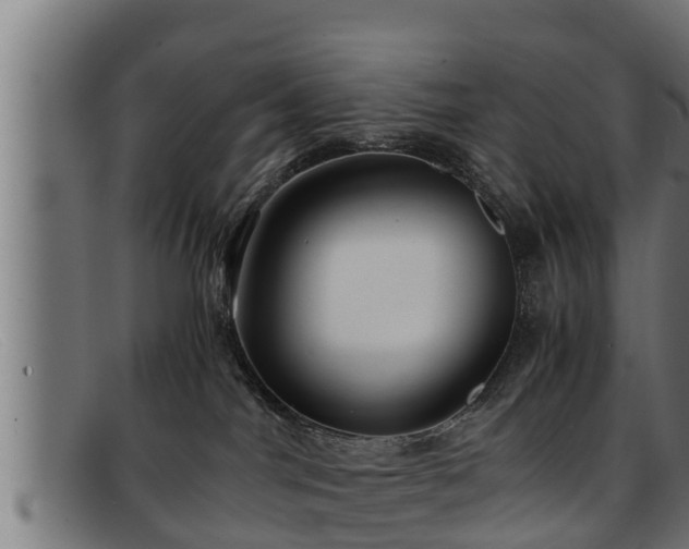 X0000091860044200709121338