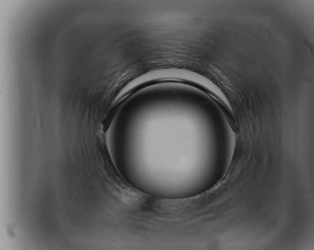 X0000091860045200709121338