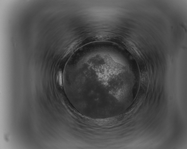 X0000091860046200709121338