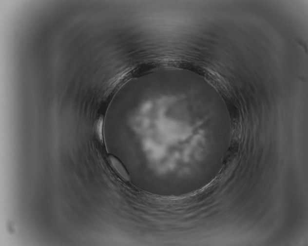 X0000091860047200709121338