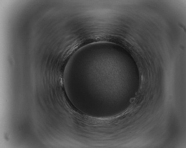 X0000091860048200709121338