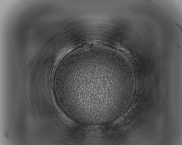 X0000091860049200709121337