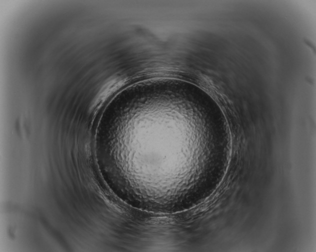 X0000091860050200709121337