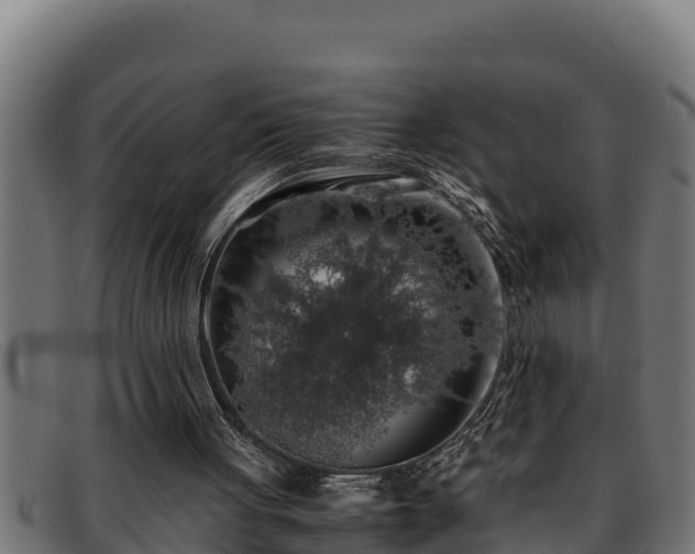 X0000091860051200709121337