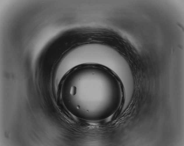 X0000091860052200709121337