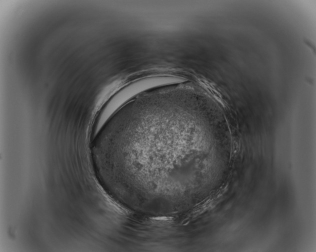 X0000091860053200709121337