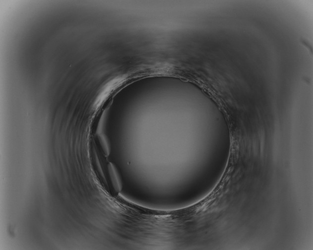 X0000091860054200709121337