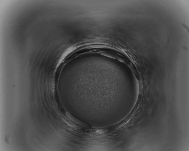 X0000091860056200709121337