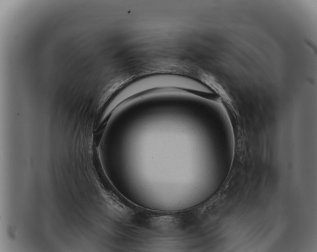 X0000091860058200709121337