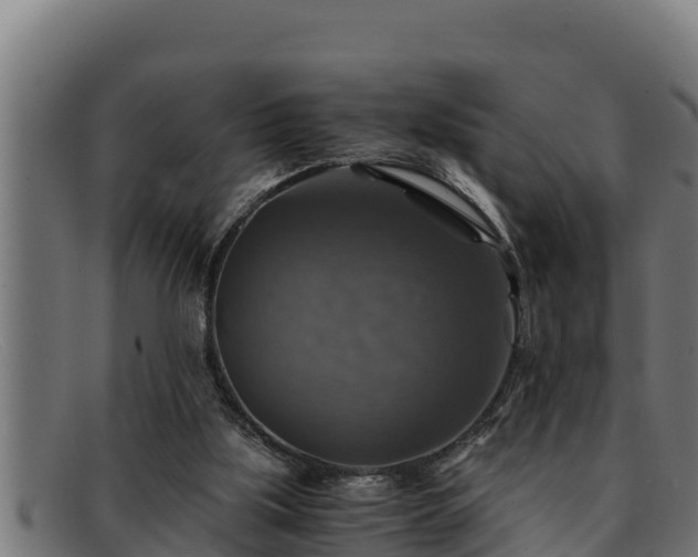 X0000091860059200709121337