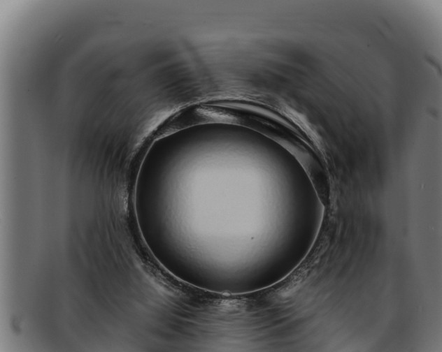 X0000091860060200709121337