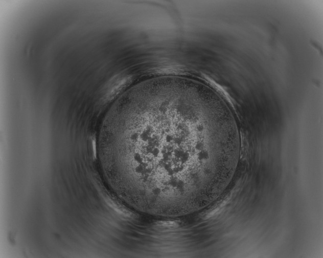 X0000091860061200709121337