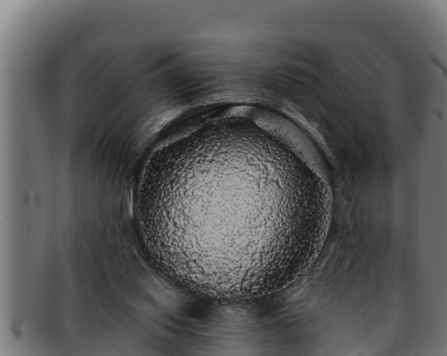 X0000091860062200709121337