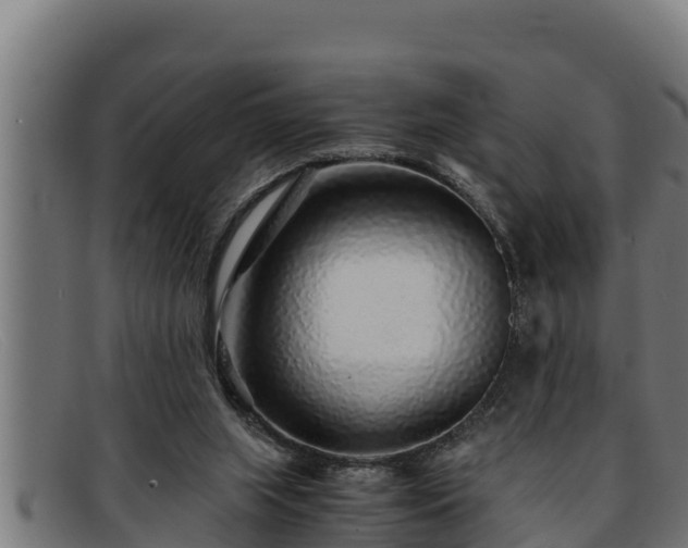 X0000091860063200709121337