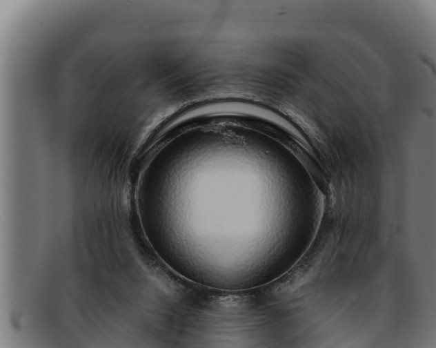 X0000091860064200709121337