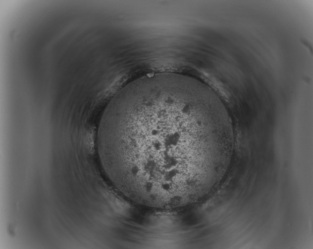 X0000091860065200709121337