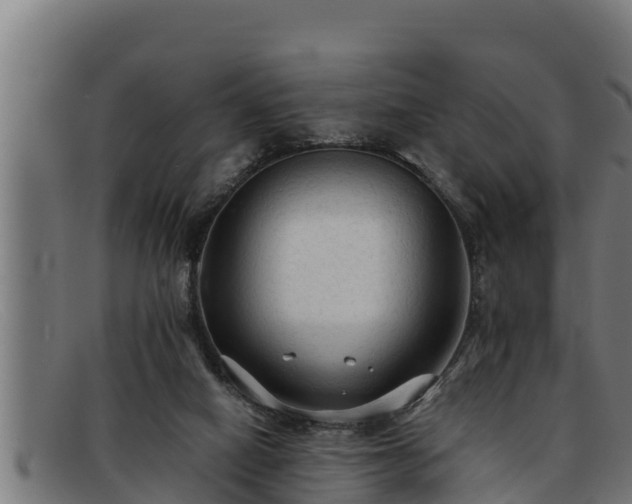 X0000091860066200709121337