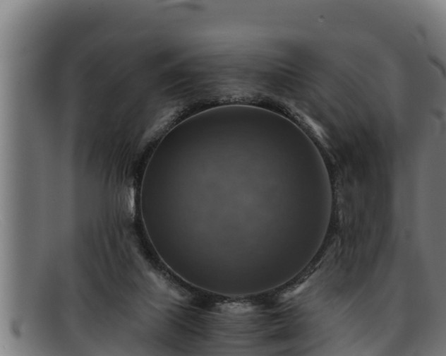 X0000091860067200709121337