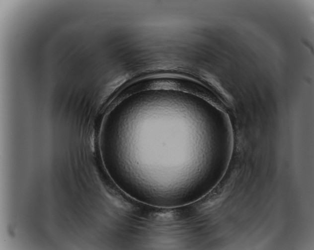 X0000091860068200709121337